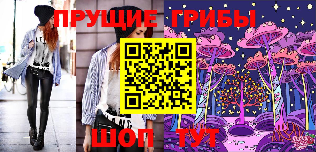 Галлюциногенные грибы Psilocybe Джанкой
